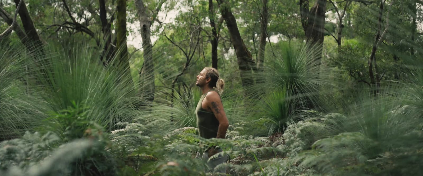 Why Your Brain Craves Quiet Spaces in a Noisy World